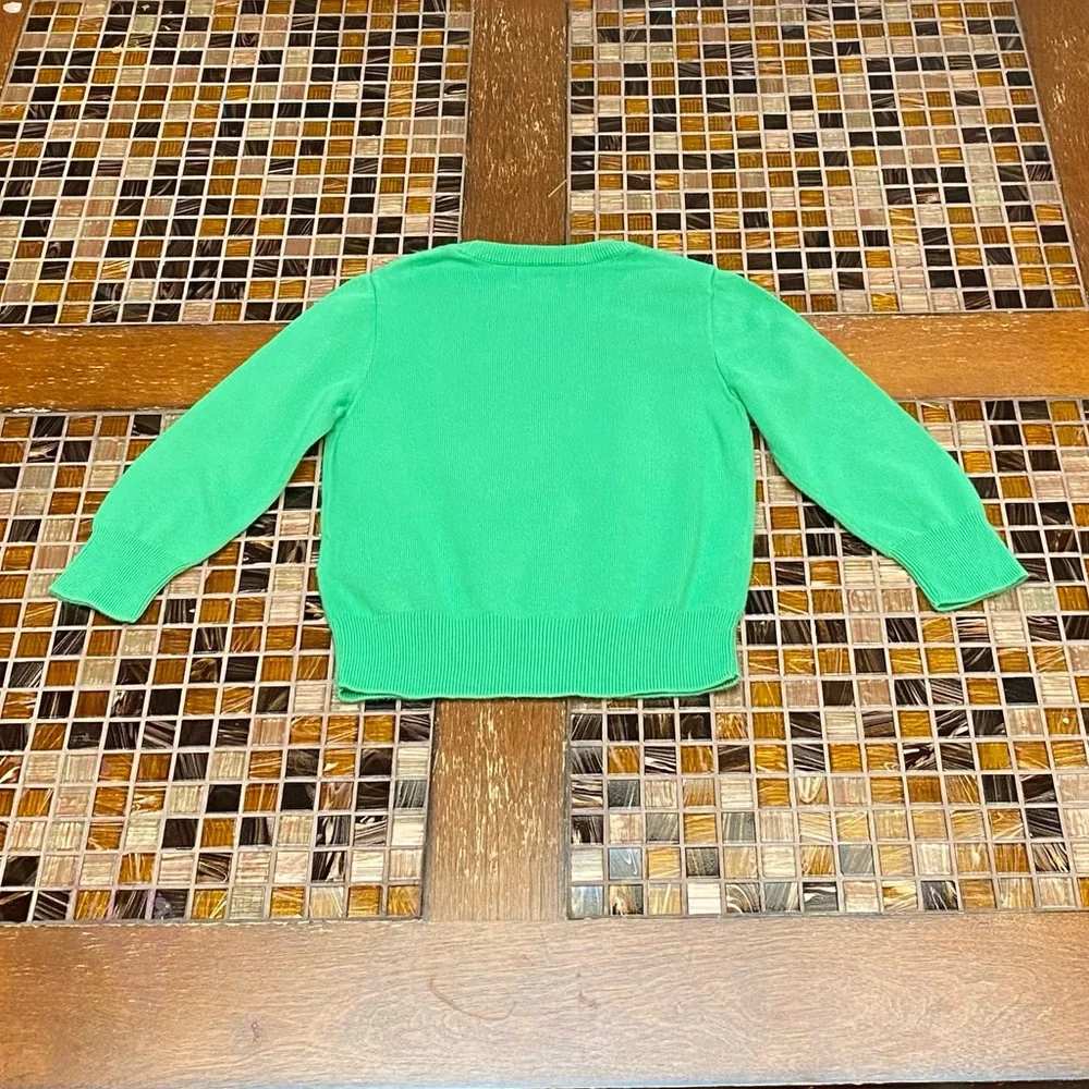 Ralph Lauren Boys Green Sweater